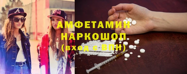 сатива Кулебаки