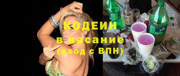 сатива Кулебаки