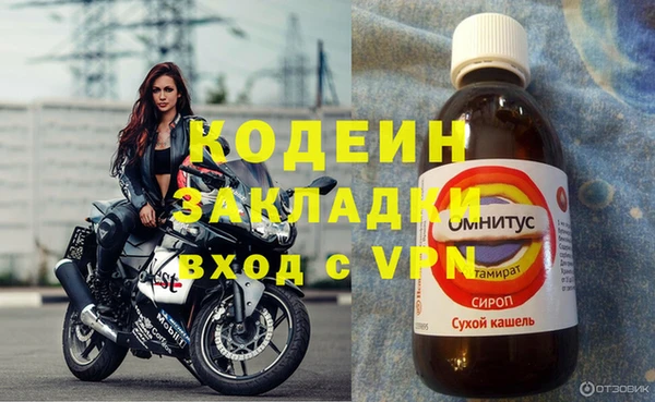 СК Куйбышев