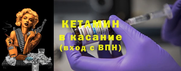 сатива Кулебаки