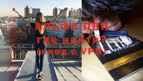 сатива Кулебаки