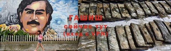 сатива Кулебаки