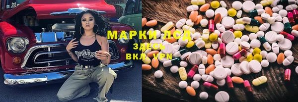 сатива Кулебаки