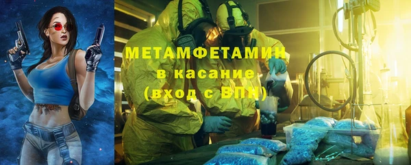 сатива Кулебаки