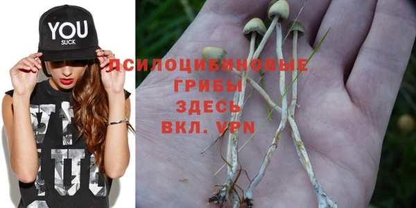 СК Куйбышев