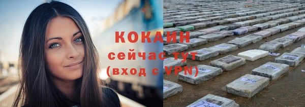 сатива Кулебаки